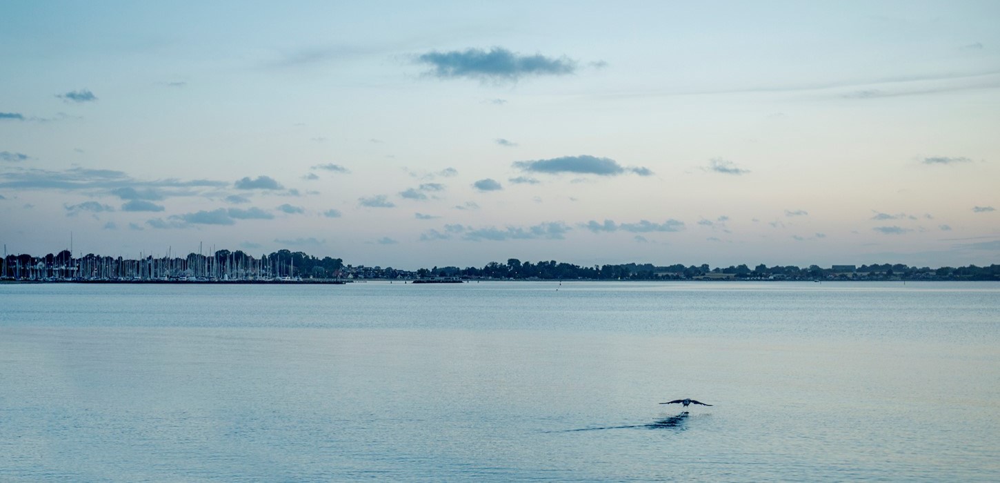 Kerteminde i det fjerne