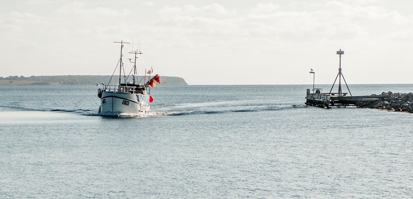 Fiskekutter i Kerteminde