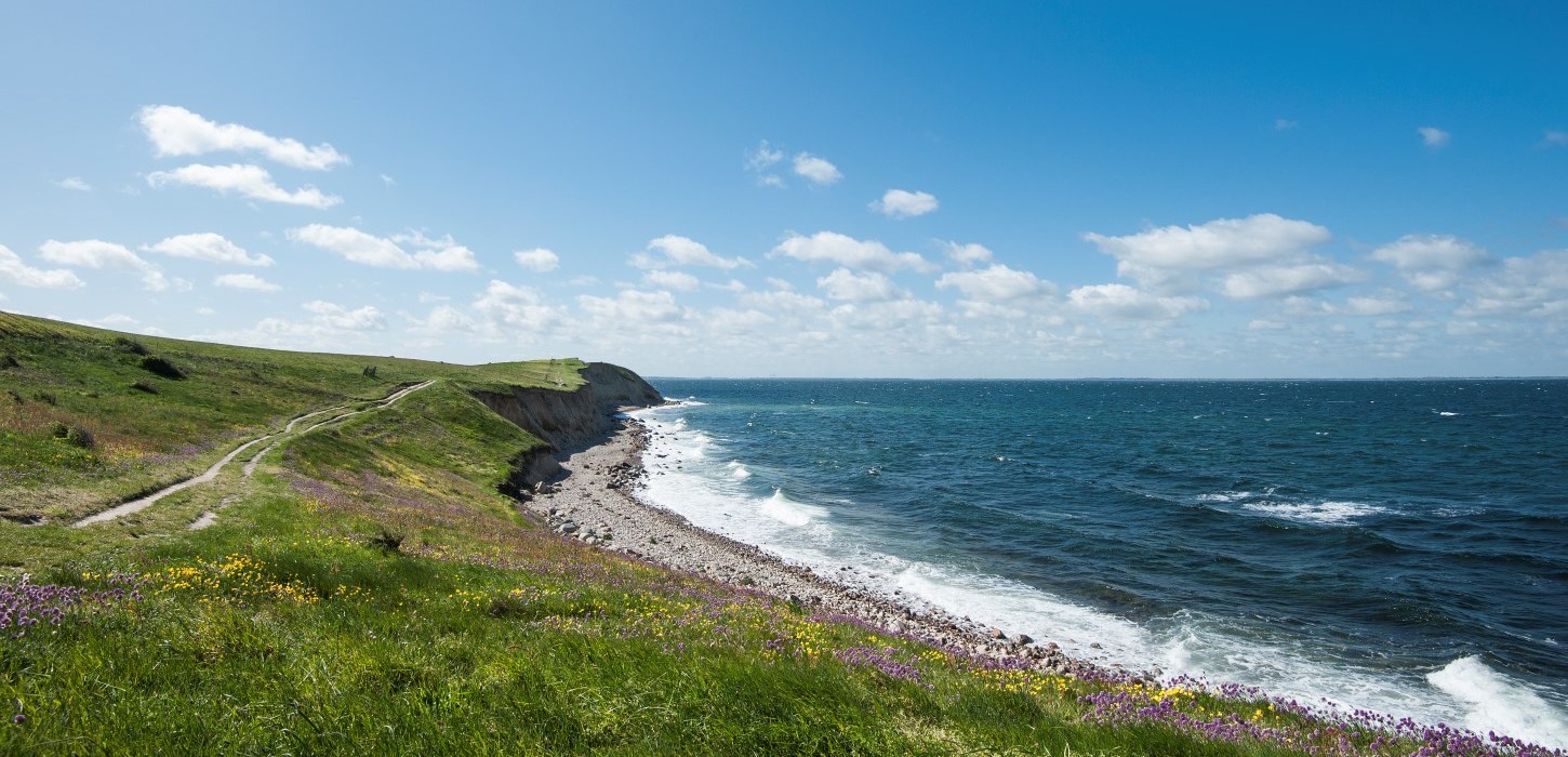 Hav og land på Fyns Hoved