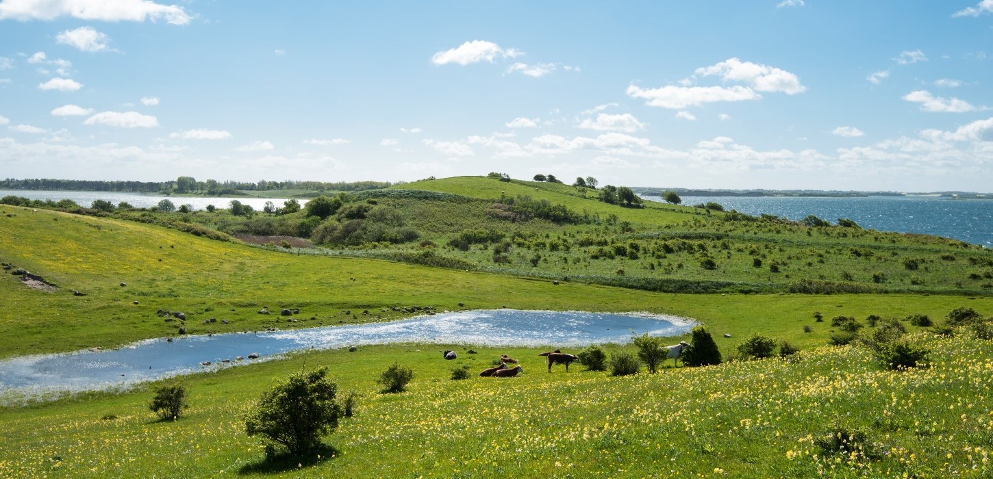 Fyns Hoved sø og udsigt