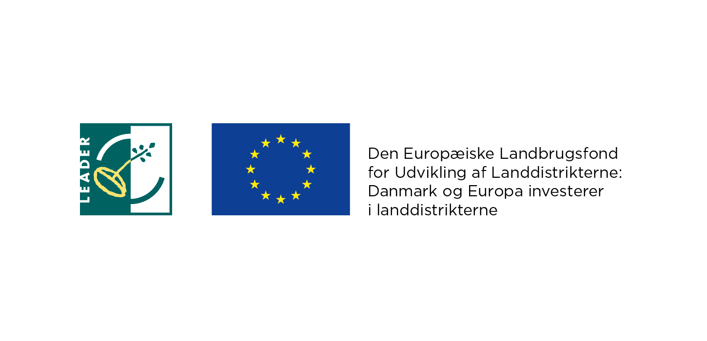 EU Logo