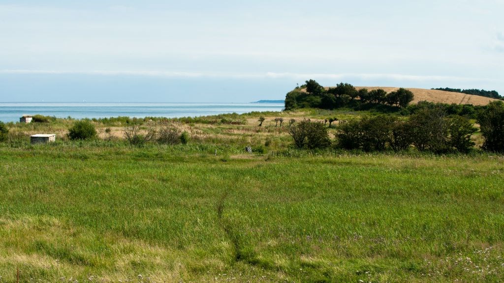 Nordskov Enge