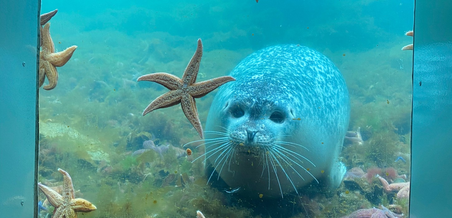 Sæl hos Fjord & Bælt