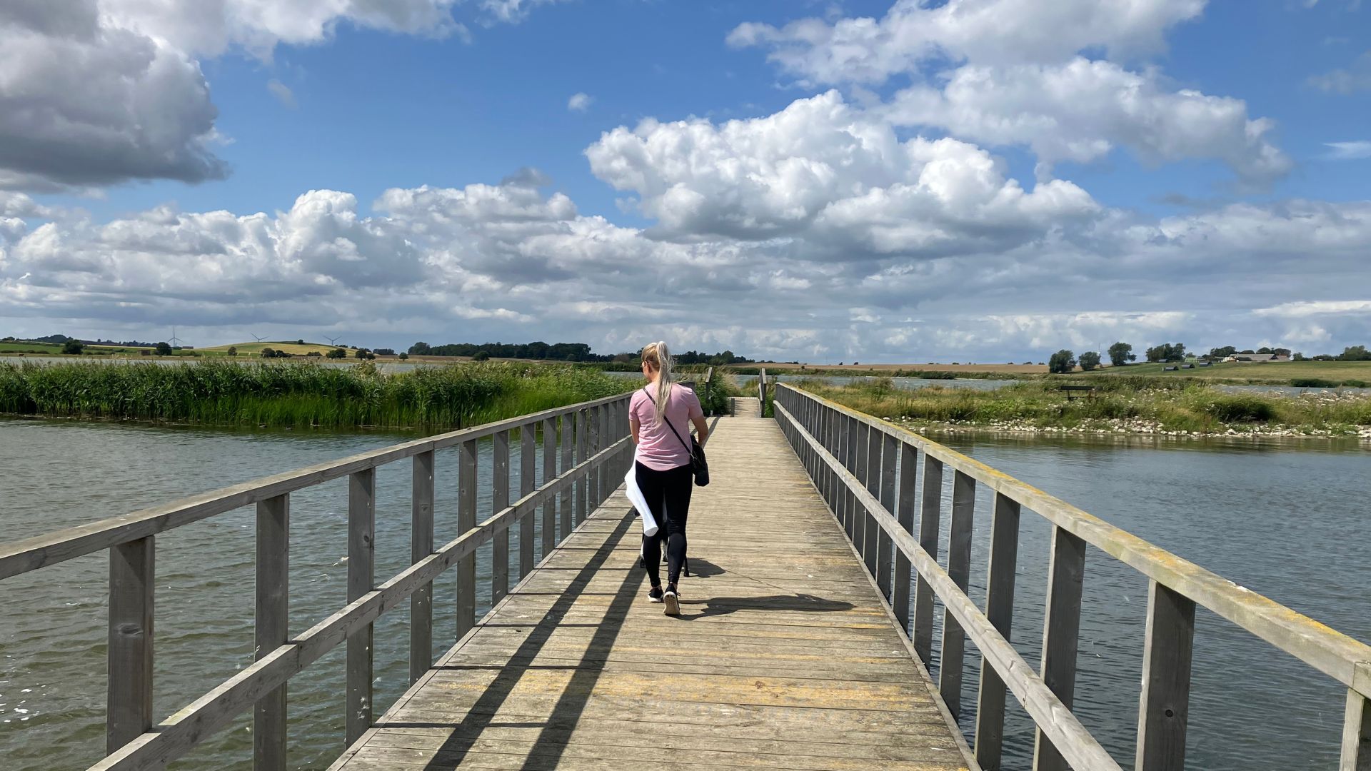 Hundelufter på en af Syberglands broer over søen.