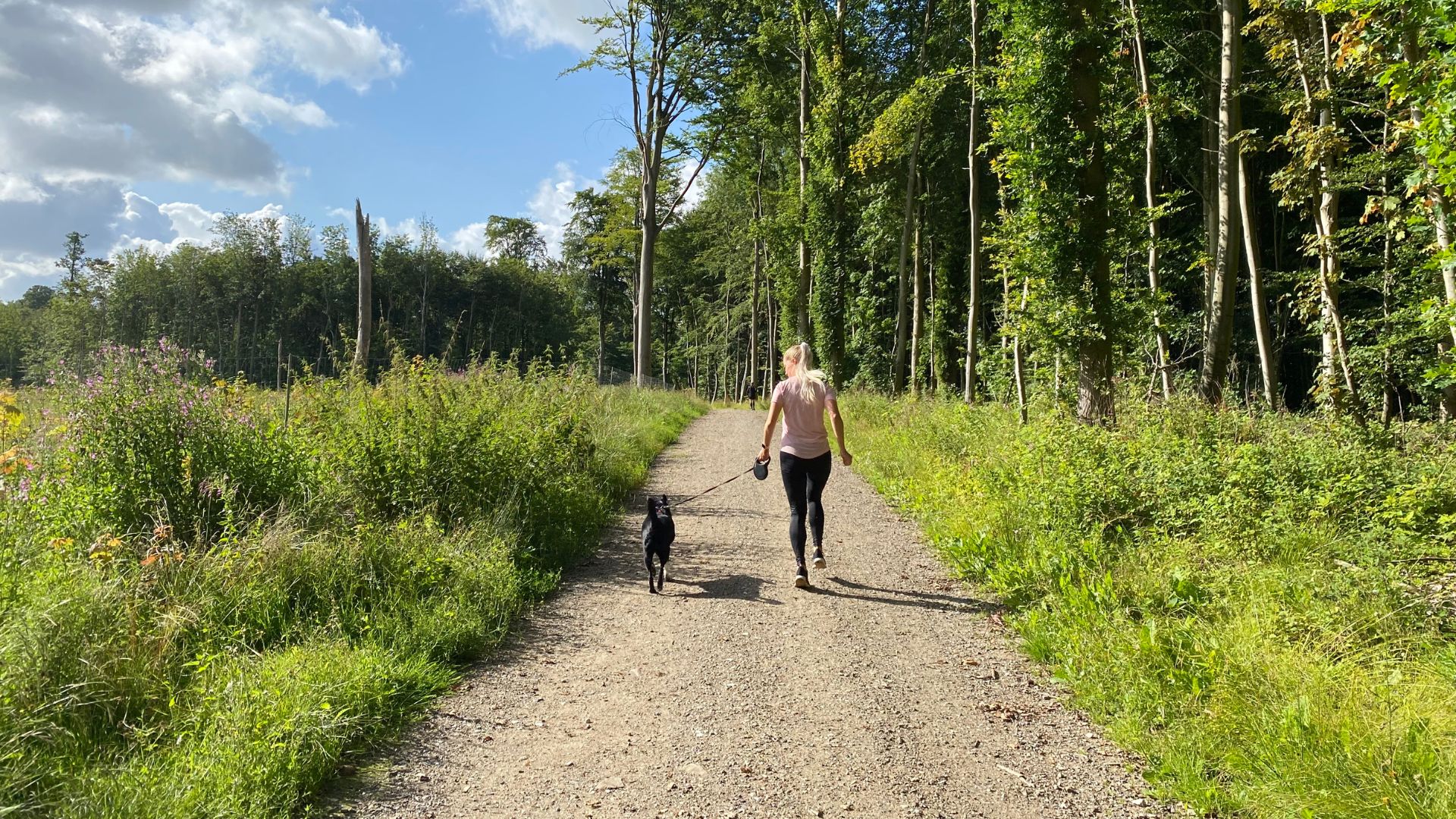 Foto af løber med hund i snor i et skovområde.