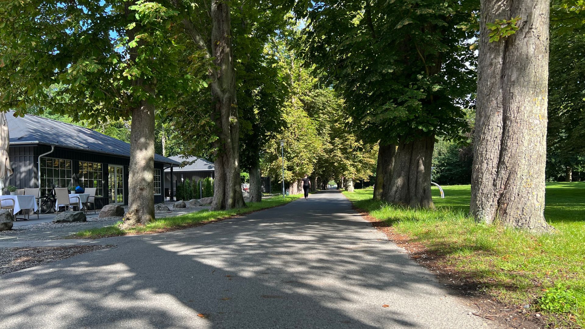 Foto af en asfalteret sti ved Danhostel Kerteminde og en alle med træer.