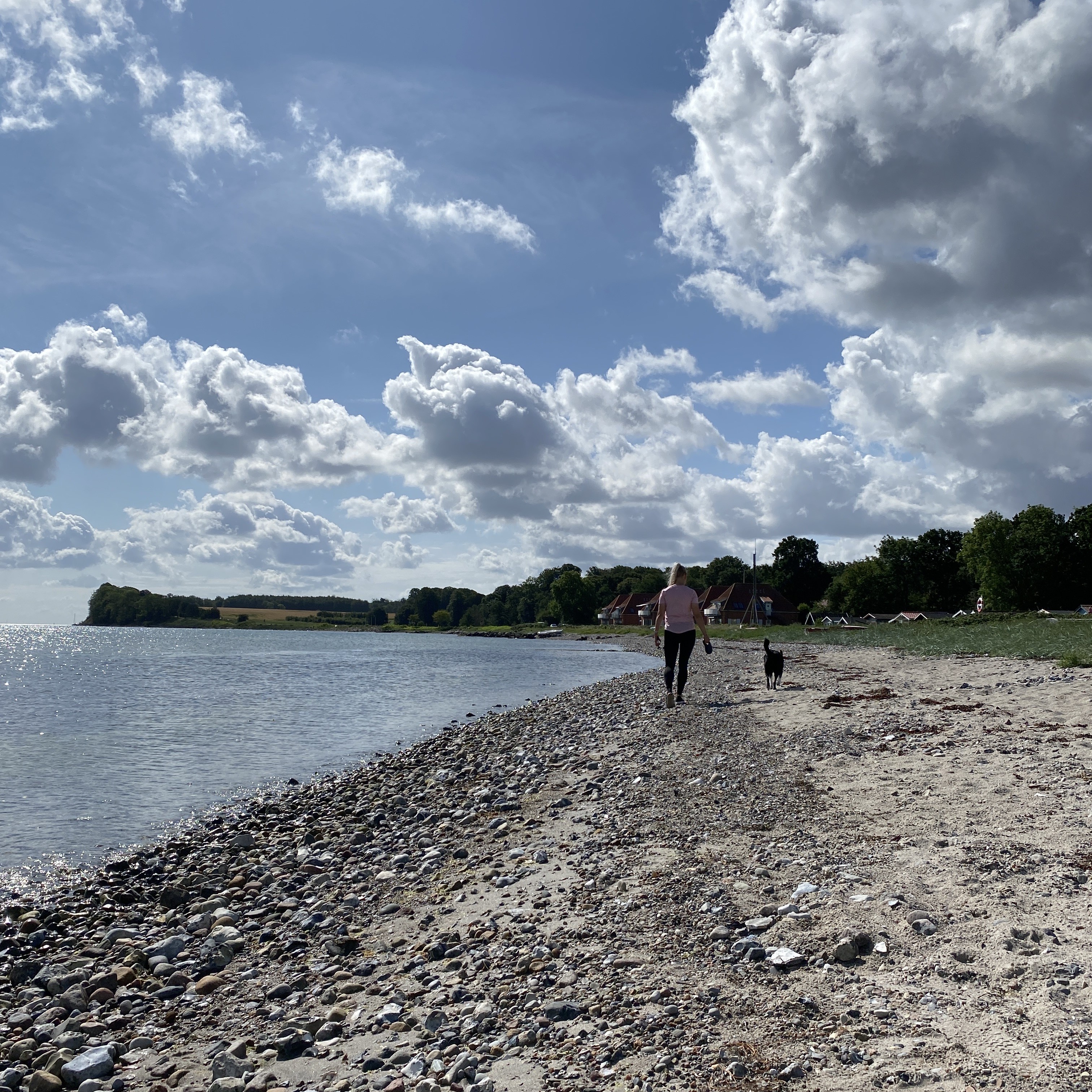 Activities in Kerteminde